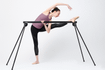 Image 1 from Vitality In Motion/ Vitality Ballet partner gallery