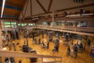 Bild 2 von Fitmacher Partnergalerie