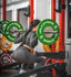 Bild 2 von Nextlevel Athletes Partnergalerie