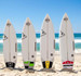 Imagem 3 da galeria do parceiro Surf's Up Club Arte da Tribo Hostel & Camping - Praia do Rosa