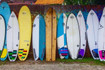 Imagem 3 da galeria do parceiro Surf's Up Club Arenque Surfboards - Rio Tavares