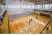 Image 2 from Town of Gilbert Parks and Rec partner gallery