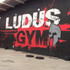 Imagen 7 de la galería del partner LUDUS GYM Creando gladiadores