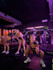 Image 2 from Fit Box Hove partner gallery