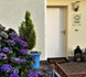 Bild 4 von Yoga-Haus Babenhausen Partnergalerie