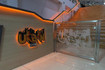 Imagen 3 de la galería del partner Urban Gym Tizayuca.