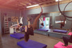 Image 5 from The collective aerial arts and fitness partner gallery