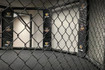 Image 2 from Legend Mixed Martial Arts partner gallery