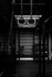 Bild 5 von Real Steel Partnergalerie