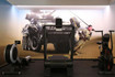 Immagine 5 dalla galleria del partner Action Fit Muggiò