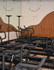 Image 1 from Body Politik Paradise Valley partner gallery