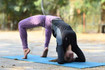 Image 1 from Myntra Yoga partner gallery