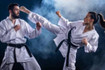 Image 2 from Berringer Martial Arts partner gallery