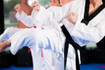 Image 3 from Berringer Martial Arts partner gallery