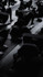 Image 1 from Zephyr Cycling Studio partner gallery