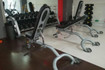 Immagine 2 dalla galleria del partner All Fit Maddaloni