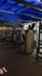 Imagem 1 da galeria do parceiro Wellness São Silvano