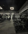 Imagen 5 de la galería del partner Wolf Nation Gym