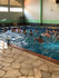 Imagem 3 da galeria do parceiro Planeta Corpo
