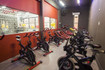 Imagen 5 de la galería del partner Signum