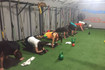 Imagen 8 de la galería del partner Entrenamiento Real
