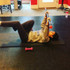 Image 1 from Isolation Fitness partner gallery