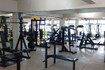 Imagem 1 da galeria do parceiro Miudinho Academia - Partenon