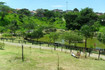 Imagem 4 da galeria do parceiro L7 - Unidade Cidade das Flores