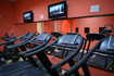Immagine 4 dalla galleria del partner Palestra ForumGym