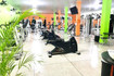 Imagem 7 da galeria do parceiro Opção Fitness Academia