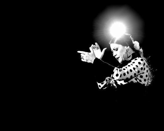Instituto Alante – Arte Flamenco