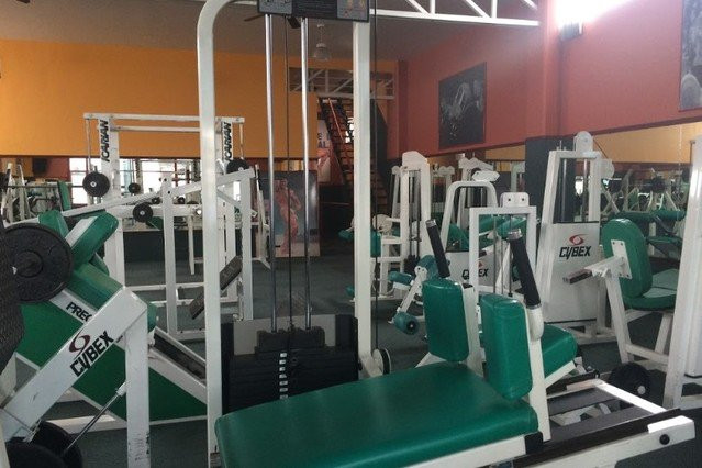 Gold Gym
