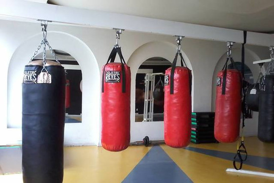 Imagen 2 de la galería del partner New Sport Gym