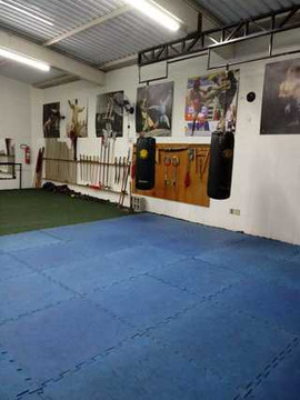 Imagem 3 da galeria do parceiro Academia TFP Kung Fu Training