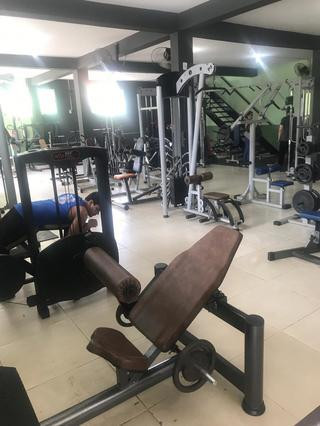 Movement Academia