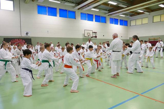 Bild 3 von Kimura Karate Schule Wandlitz Partnergalerie