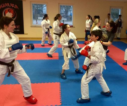 Bild 2 von Kimura Karate Schule Partnergalerie