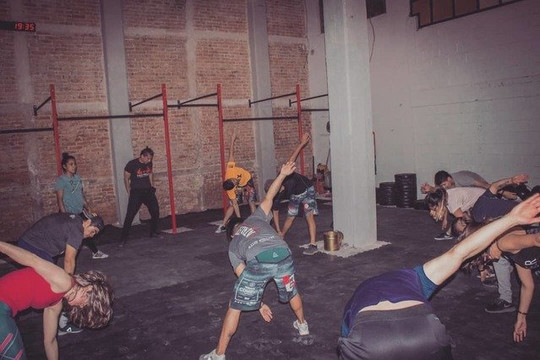 Imagen 3 de la galería del partner Alpha Wolf Wellness Center