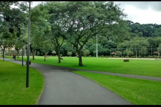 Imagem 1 da galeria do parceiro MOVE FUN - Unid Bacacheri