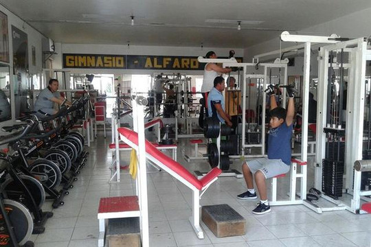 Imagen 3 de la galería del partner Gimnasio Alfaro Mixto