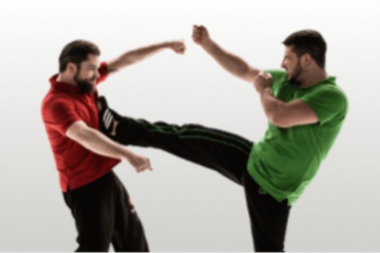 Bild 1 von EVTF Schwabenheim Partnergalerie