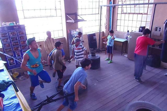 Imagem 3 da galeria do parceiro Equipe de Boxe Punho de Ouro