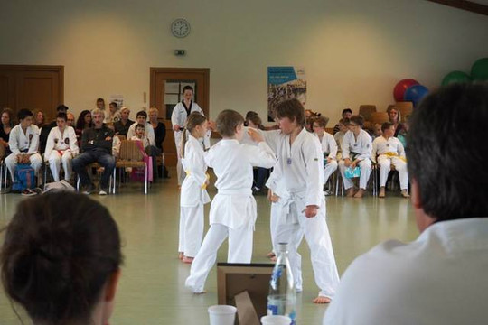 Bild 1 von Taekwondo Velden Partnergalerie