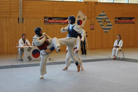 Bild 3 von Taekwondo Velden Partnergalerie