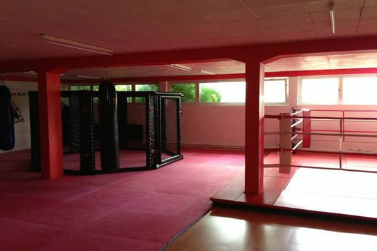 Bild 3 von Martial Arts Academy Fischer Partnergalerie