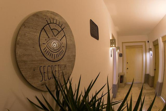 Imagen 1 de la galería del partner Secret Room Yoga Zona Esmeralda