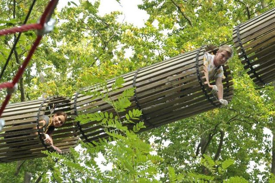 Bild 3 von Kletterwald am See Partnergalerie