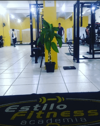 Estilo Fitness Academia