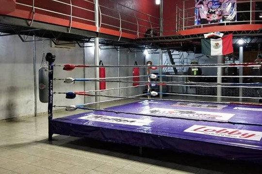 Imagen 1 de la galería del partner Academia de Box Invictus