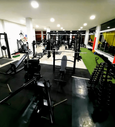 VIP Training Academia